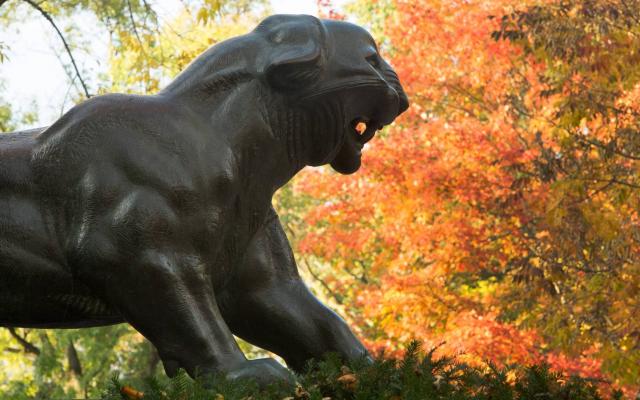 Princeton Tiger sculpture with fall foliage background
