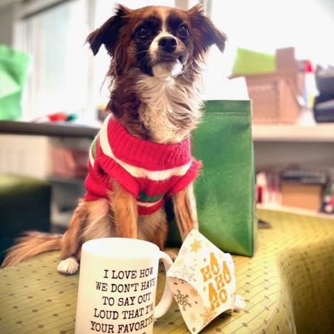 A puppy named Boot sitting next to a coffee mug that reads "I love how we don't have to say out loud that I'm your favorite employee"