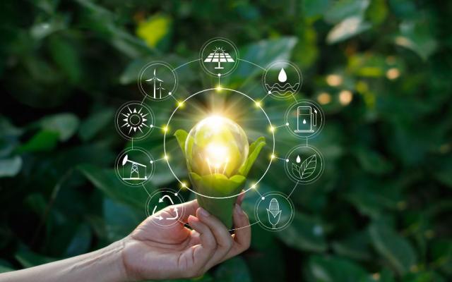 Hand holding plant with glowing light in front of greenery 