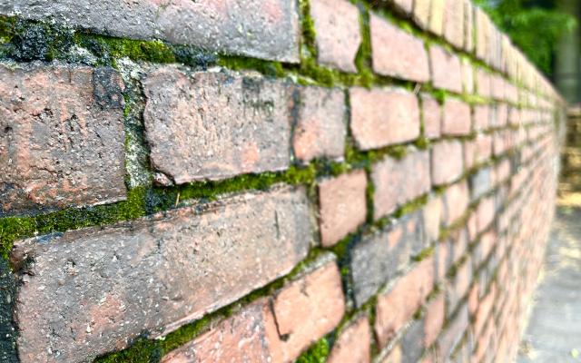 close up- of a brick wall