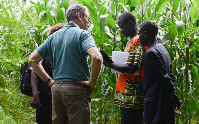 Larry Gilson speaking to men in a Kenya cornfield