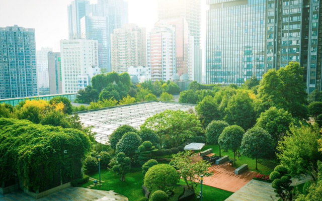 Trees and solar panels in front of a city skyline