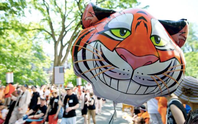 Tiger balloon head with a parade taking place behind it.
