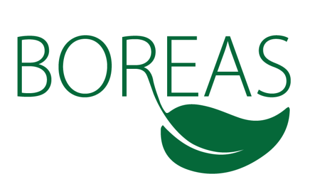 Green Boreas logo text with green leaf